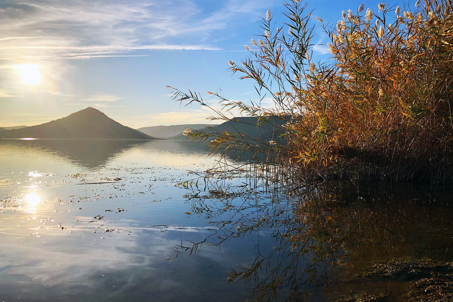 Roseaux au bord du Lac du Salagou