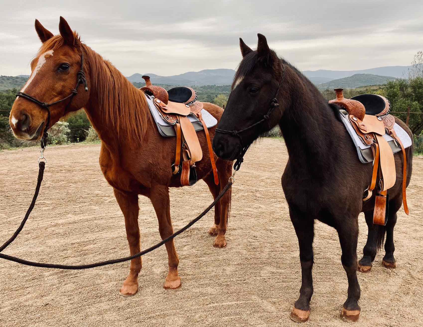 L'attrape-rêves western