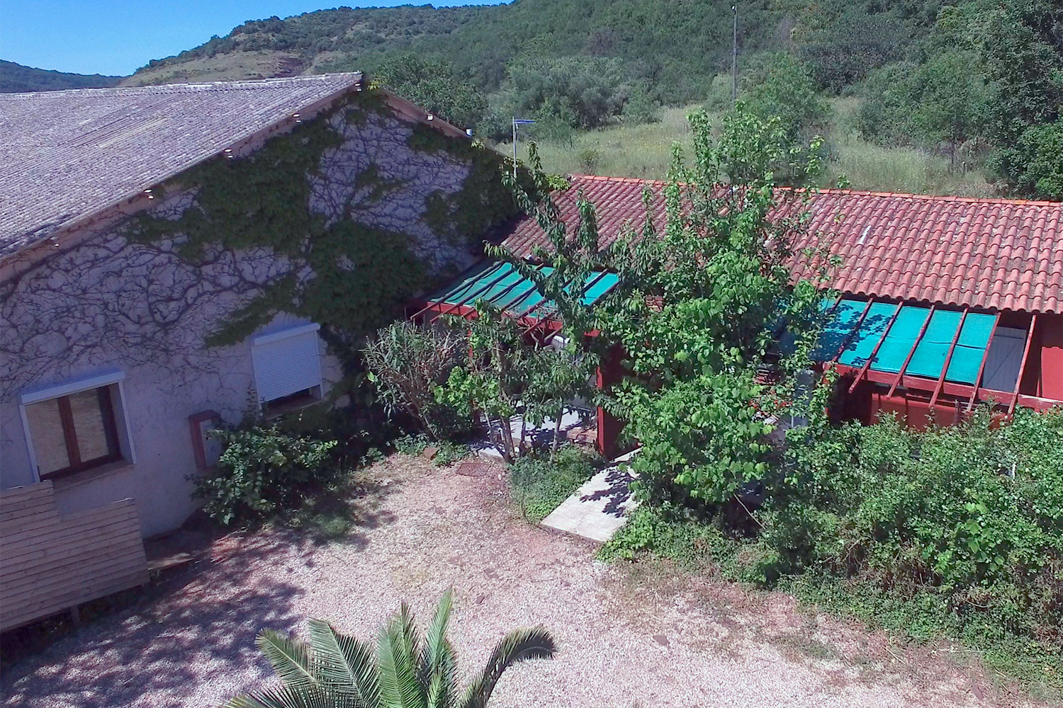 Vue aérienne du Mimosa